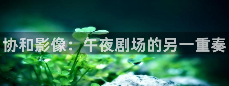 精东影业传媒app